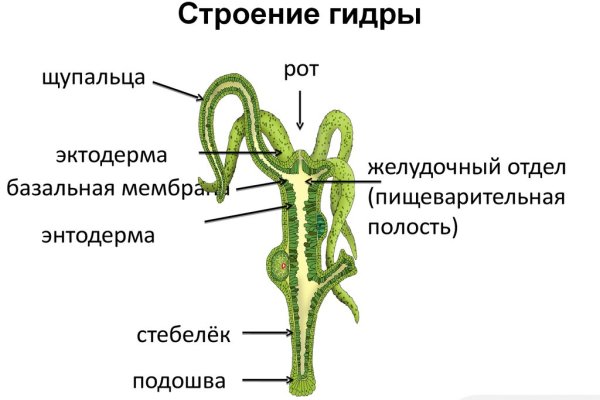 Kraken адрес onion