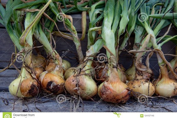 Kraken tor onion зеркало