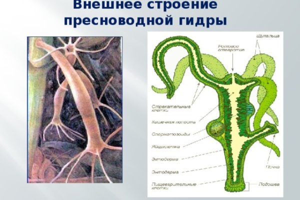Кракен сайт купить наркотики