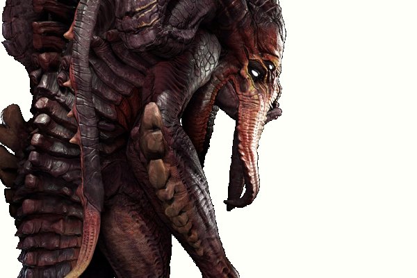 Kraken onion вход
