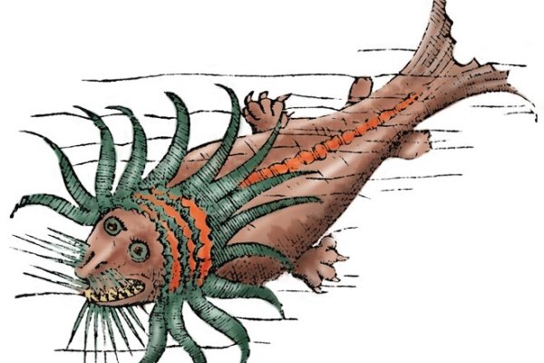 Kraken darknet ссылка тор