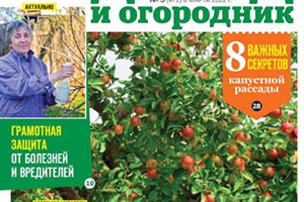 Кракен даркнет маркет ссылка тор