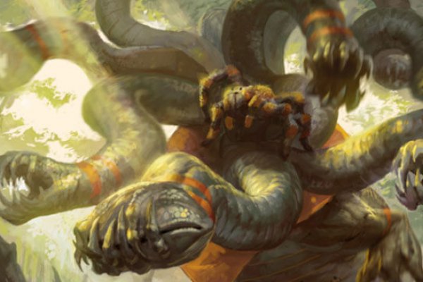 Www kraken 20at net