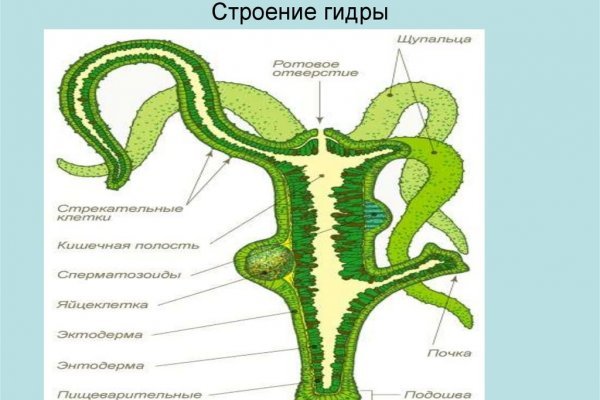 Кракен актуальная ссылка тор